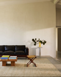 Brasilia Modern, schlicht und elegant handgefertigter TENCEL™ Spezial-Kara-Tezgah-Teppich PLAIN GREEN